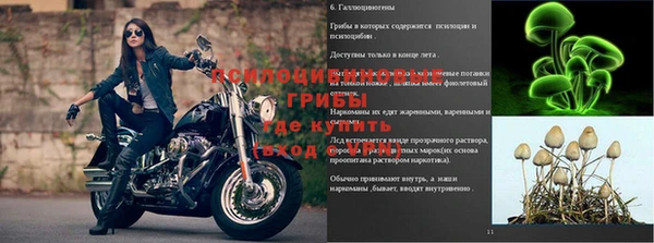 трава Каменка