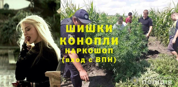 крисы Кинешма