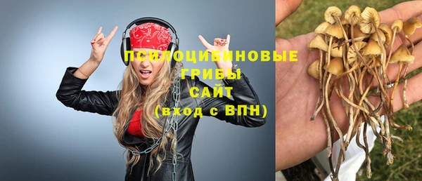 крисы Кинешма