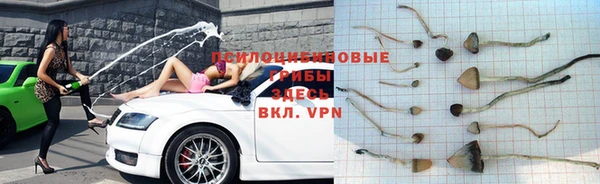 трава Каменка