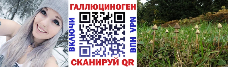 Псилоцибиновые грибы прущие грибы  как найти наркотики  omg как войти  Медынь 